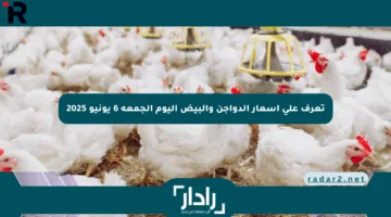 تعرف على أسعار الدواجن والبيض اليوم الجمعة 6 يونيو 2025